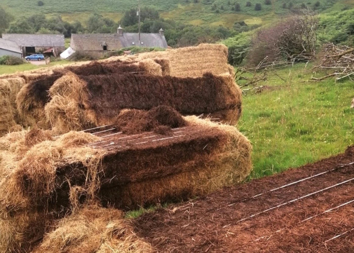 Builth Hay Bales 10 Crop