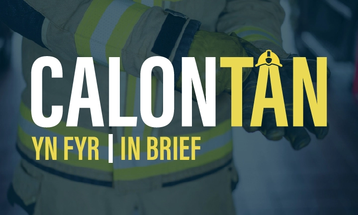 Calon Tan In Brief Press And Socials 01