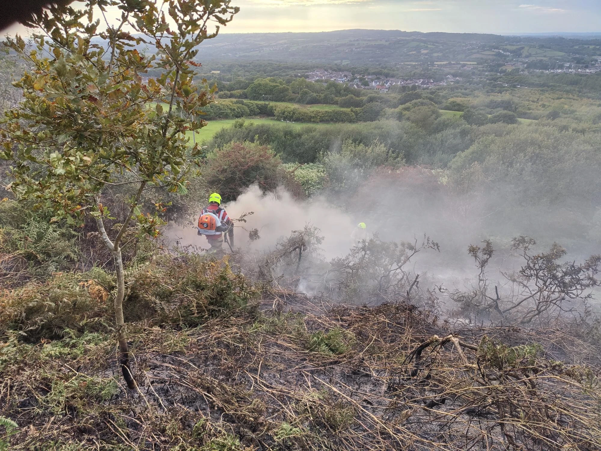 Upper Tumble Grass Fire 03