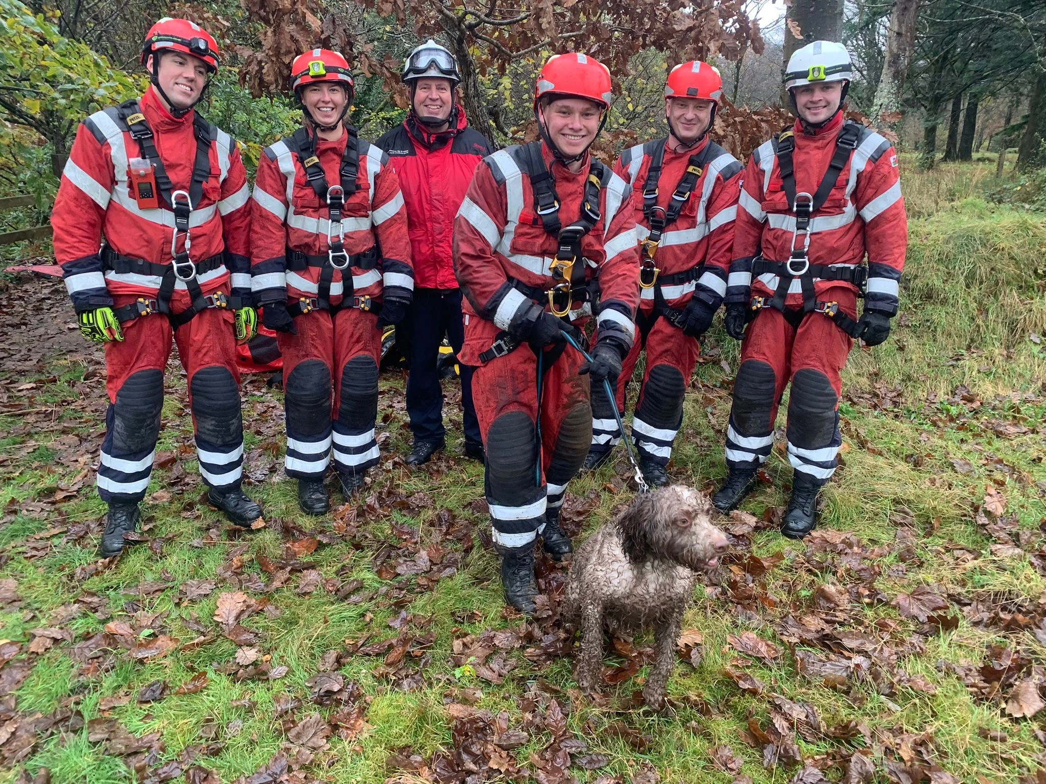 Pontrhydyfen Dog Rescue 01