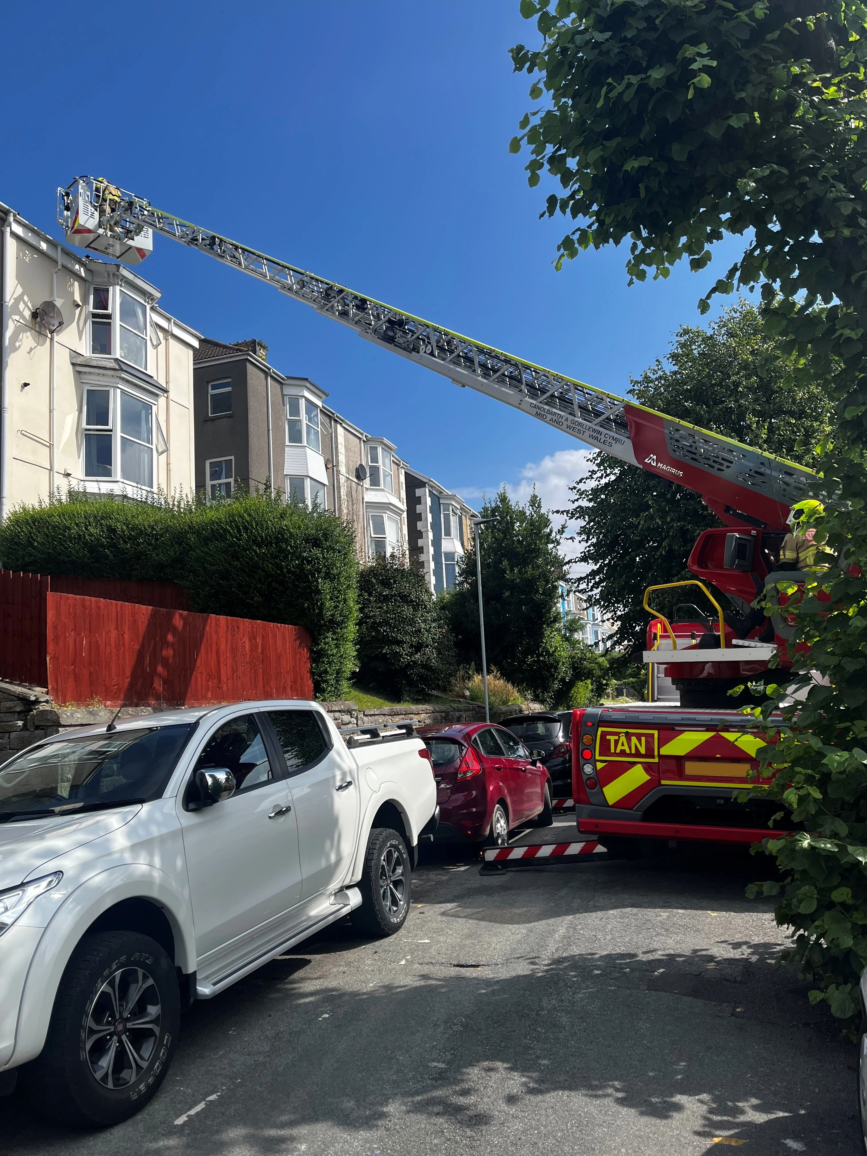 Brynmill Crescent Cat Rescue 01