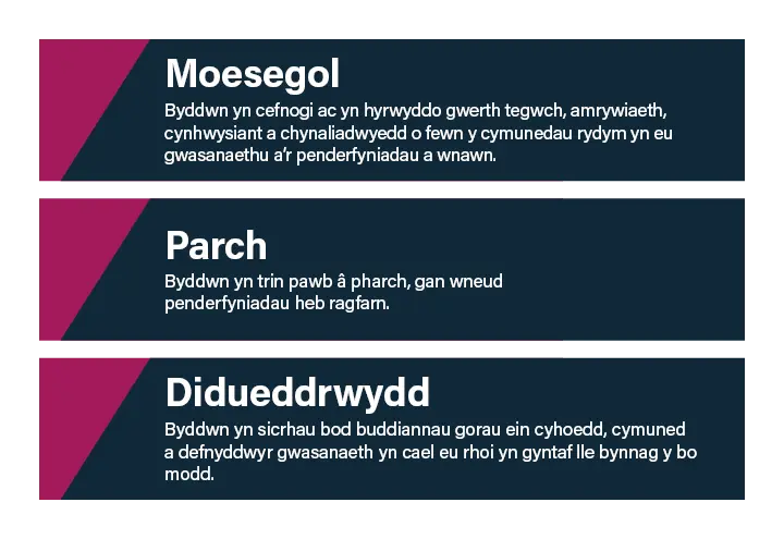 Ymddygiadau2