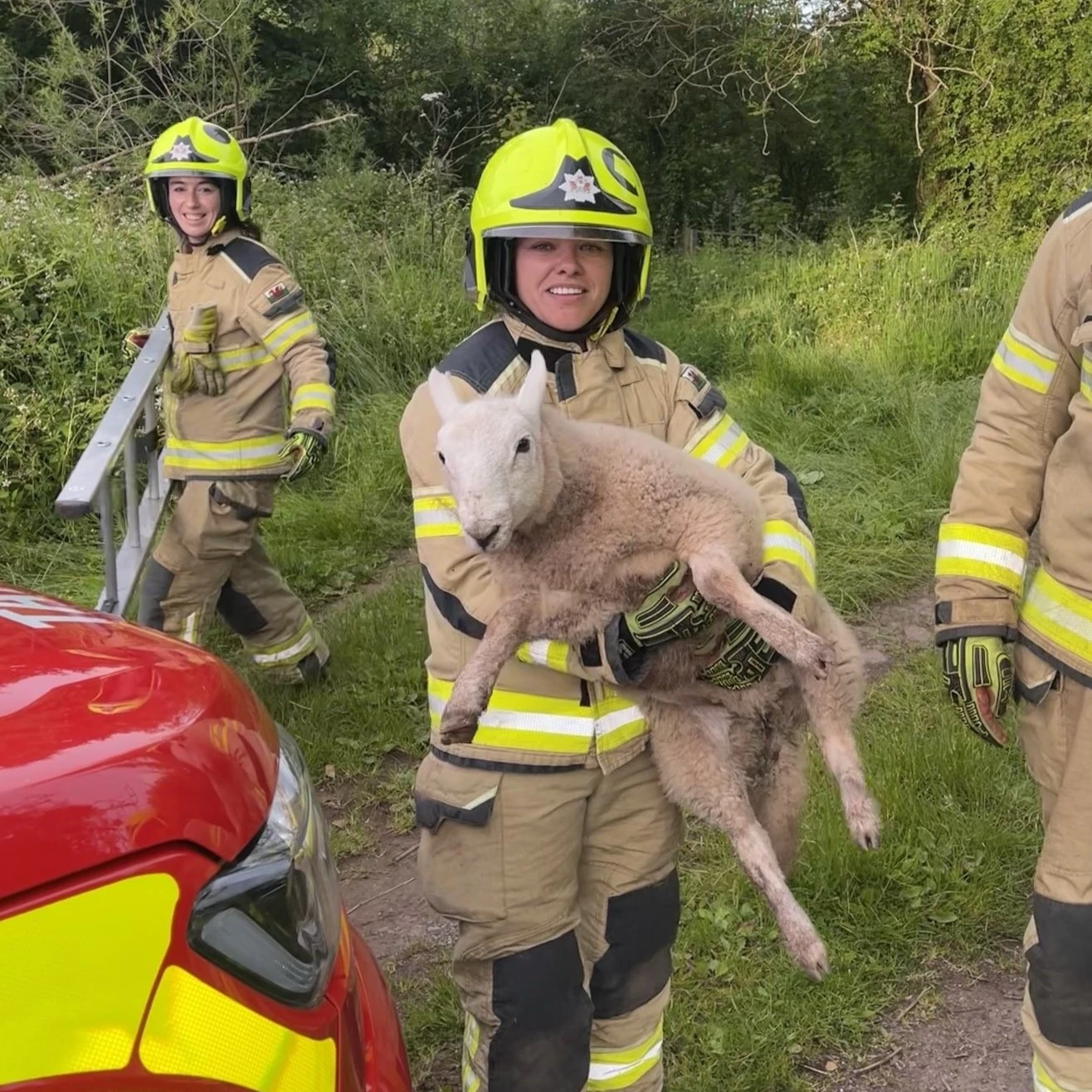Brecon Lamb Rescue 01