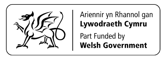 Welsh Government Feature