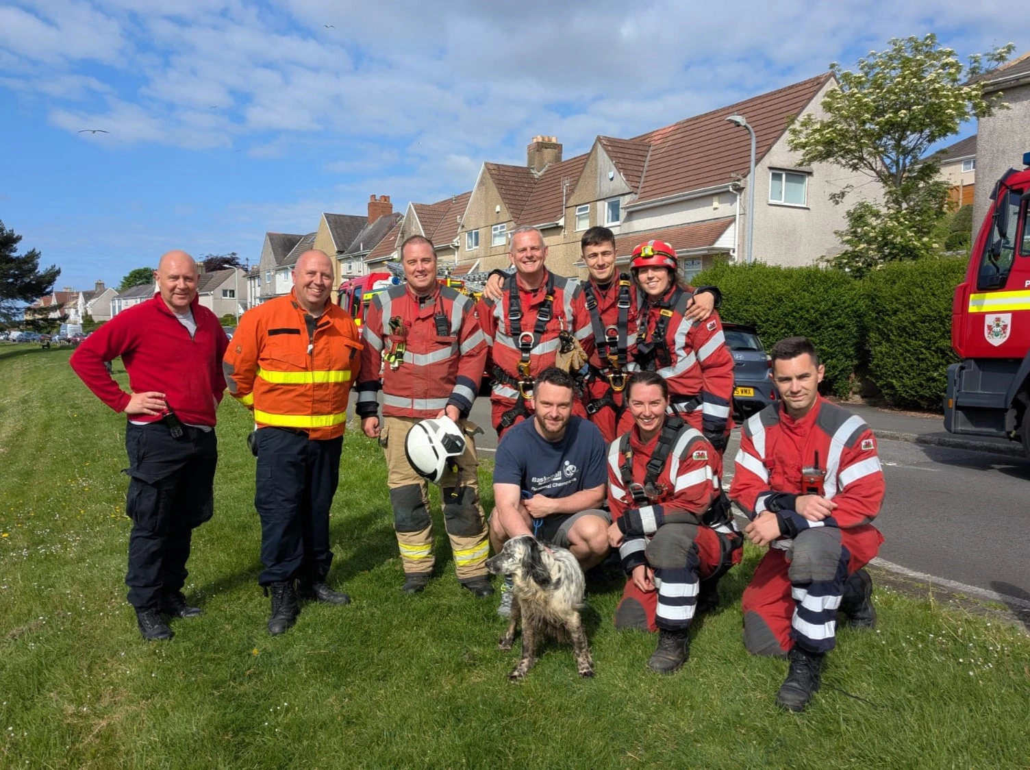 Swansea Dog Rescue 01