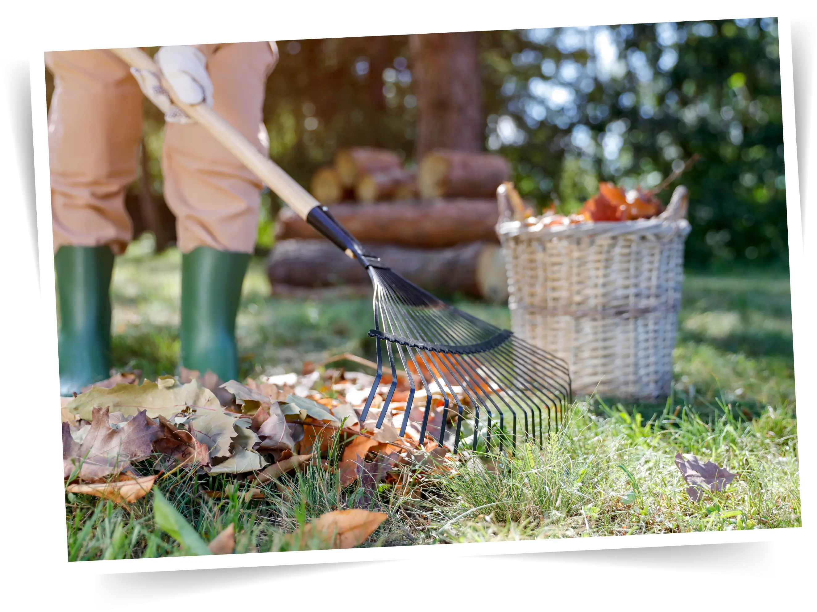 Autumnsafety Buckets Garden