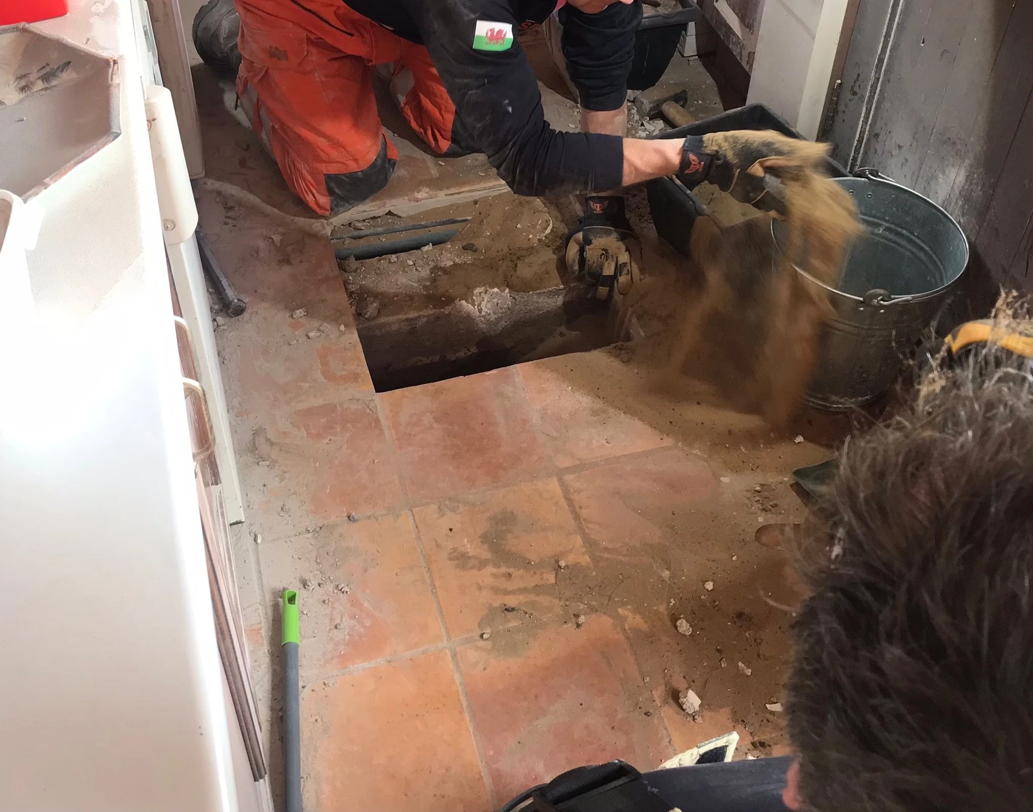 Dog Rescue 03