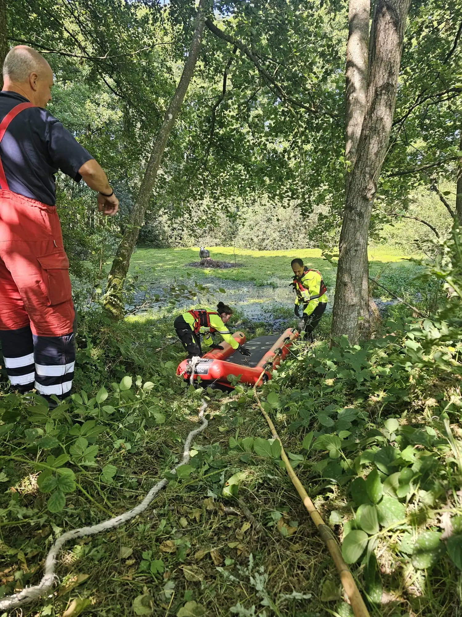 Brecon Sheep Rescue 02