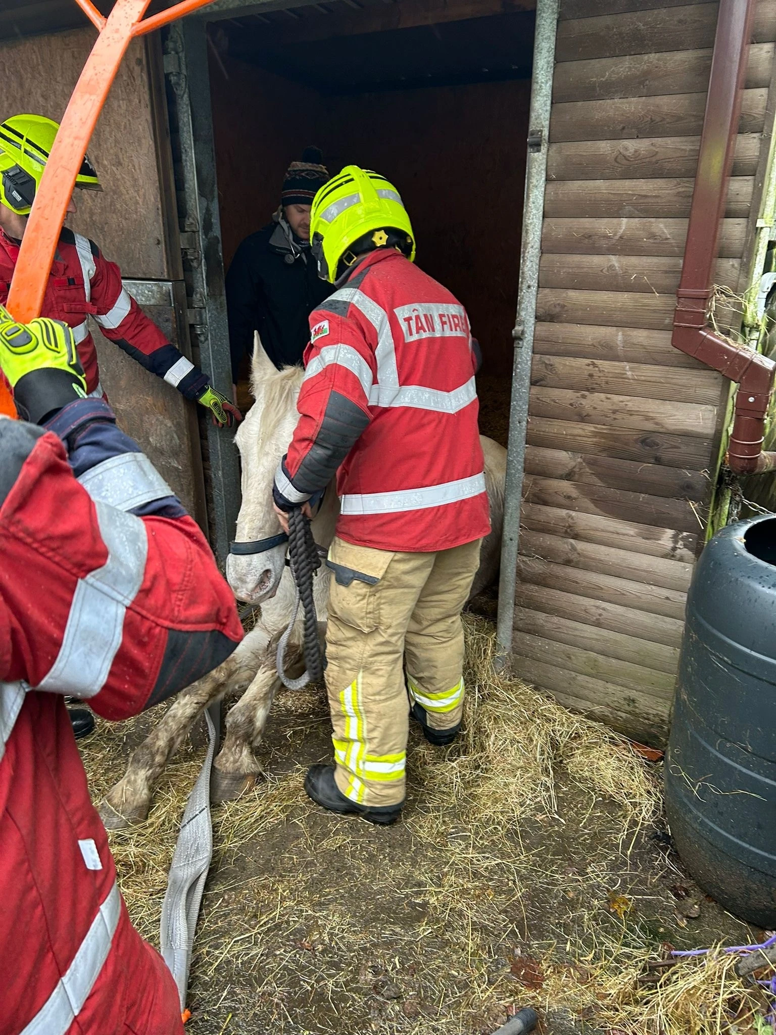 Horse Rescue 03