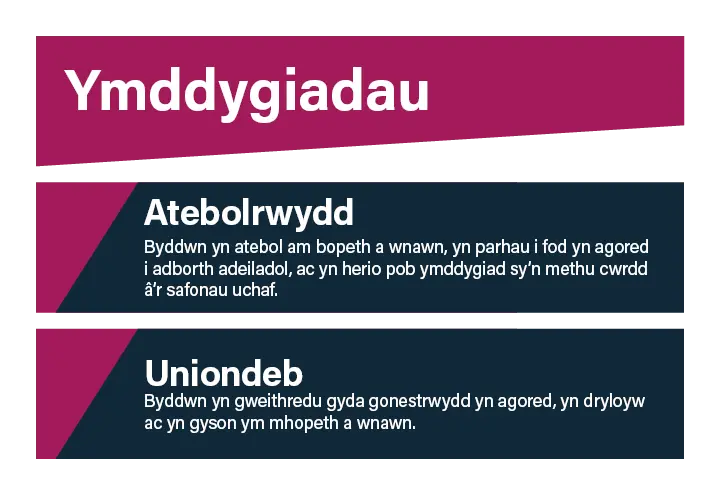 Ymddygiadau