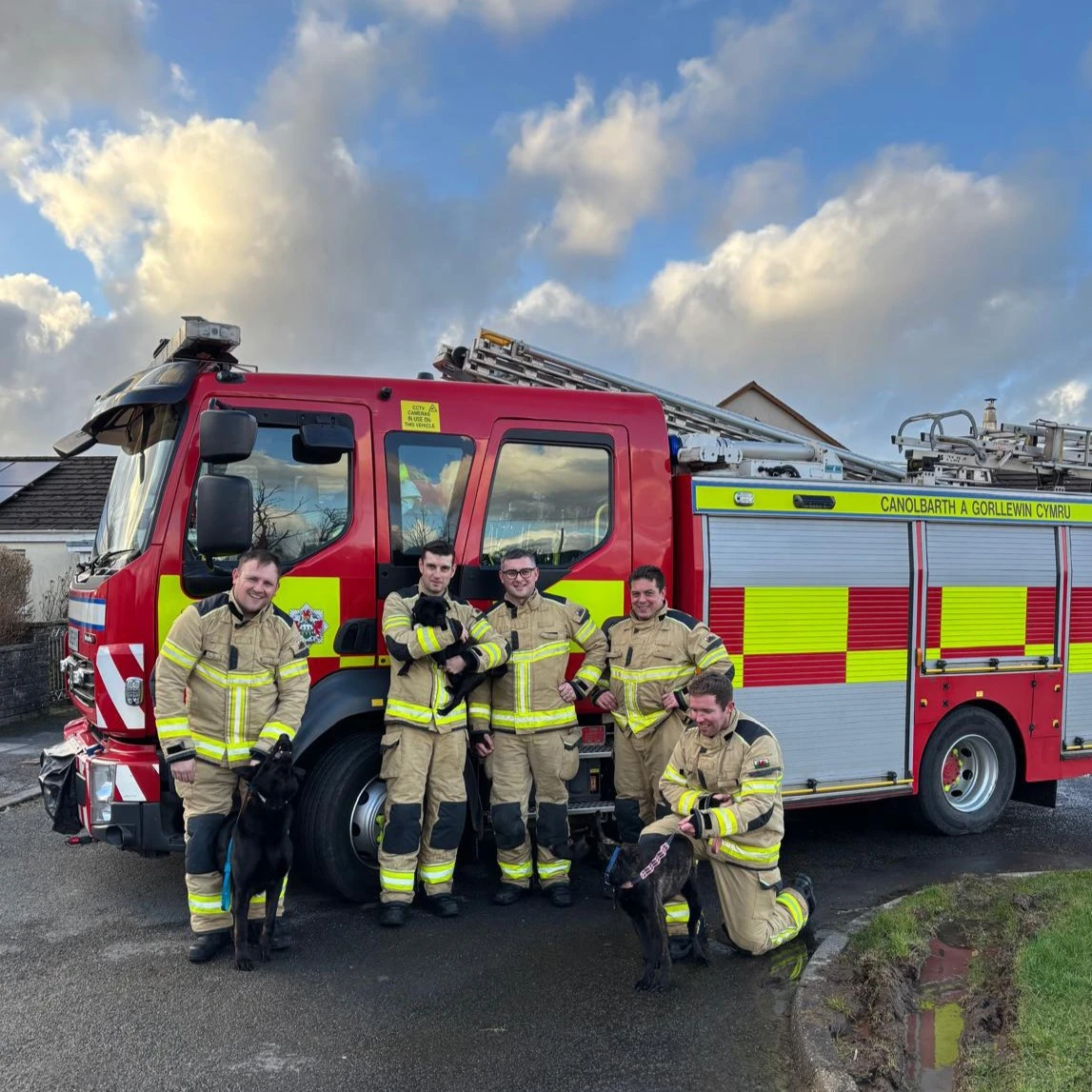 Dihewyd Dog Rescue 01