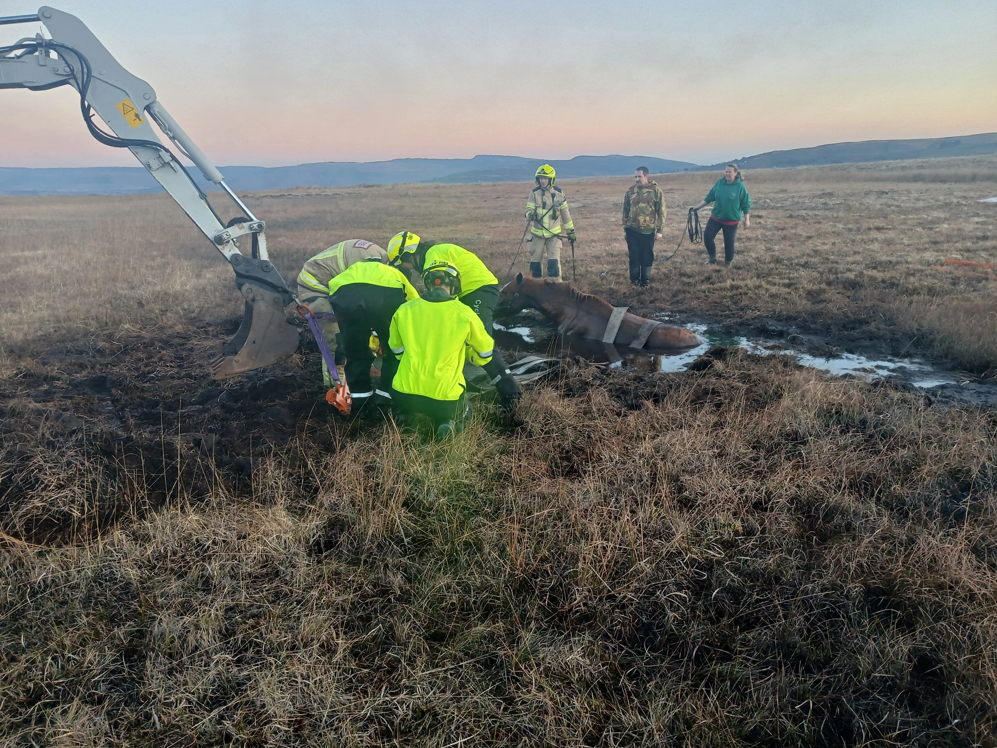 Cwmllynfell Horse Rescue 01