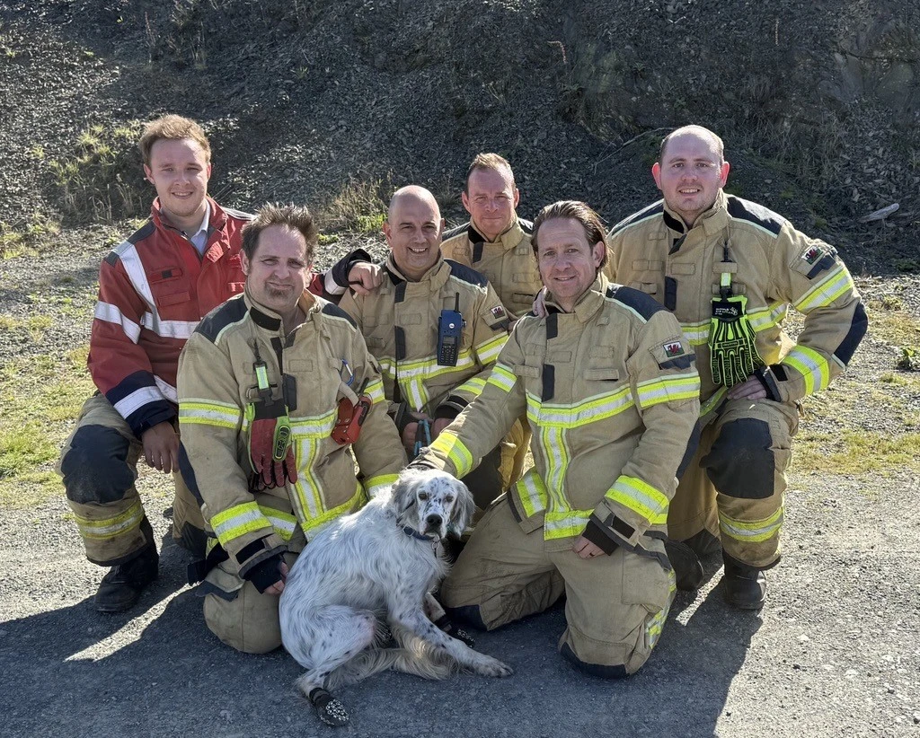 Dog Rescue 01