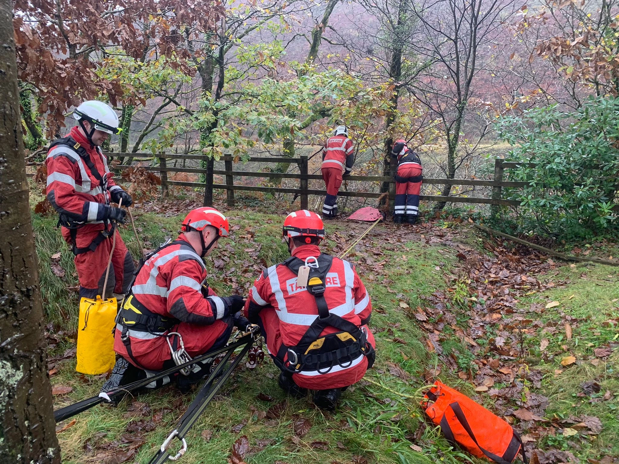 Pontrhydyfen Dog Rescue 02