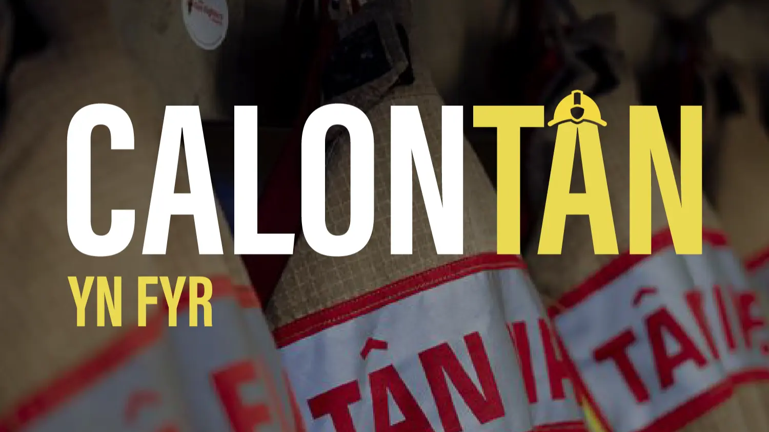 Calon Tan In Brief Graphic 02 Header