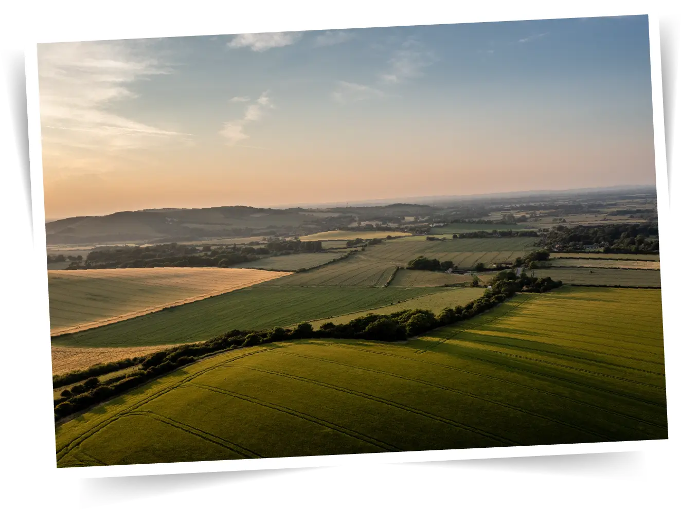 Summersafety Buckets Countryside