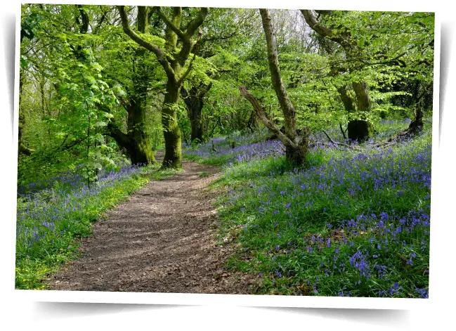 Spring Safety 5