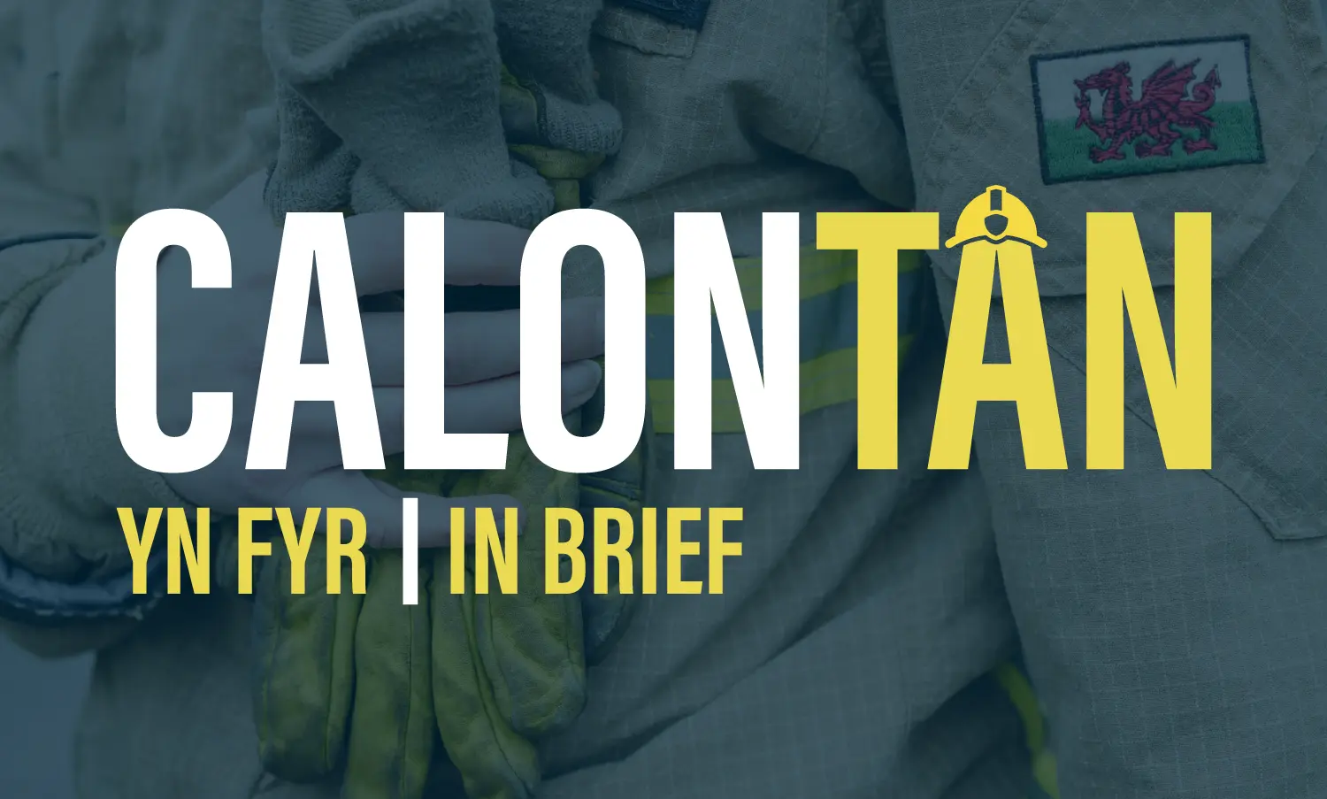 Calon Tan In Brief Press And Socials 01