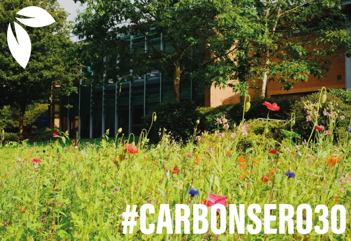 #CarbonSero30